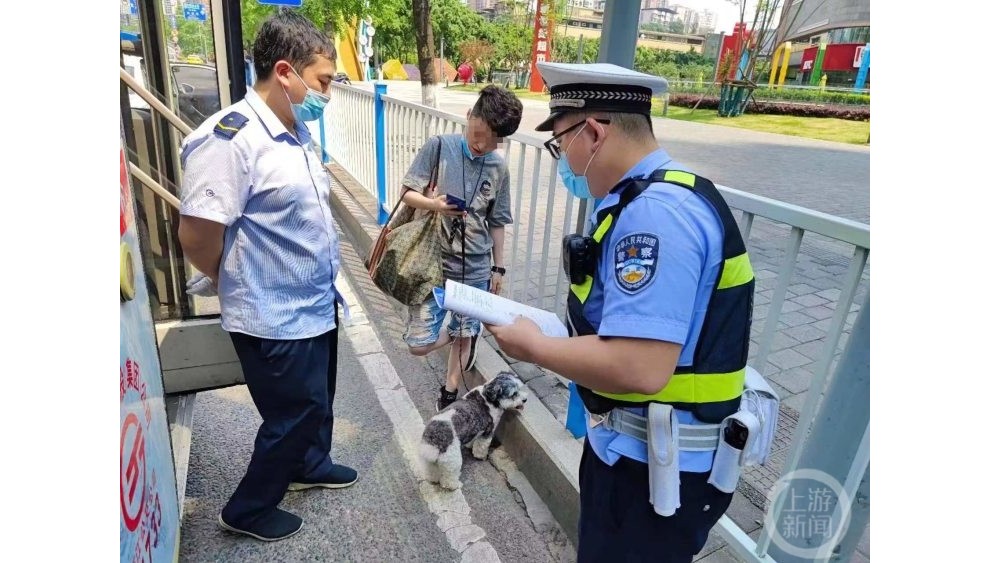 带宠物不能乘公交车？..