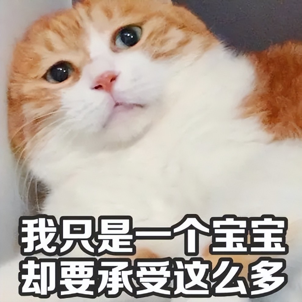 “宠物猫”VS“田园猫..